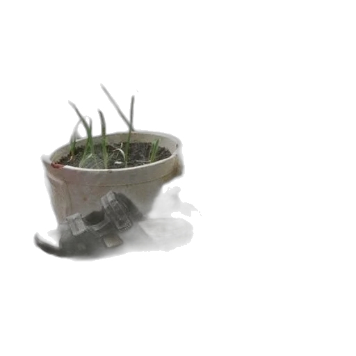 weapon, creature, food, hat, 3d render, photorealistic, concept art, pixel art transparent PNG cut-out