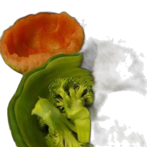 food, dragon, face, flower, photorealistic, concept art, 3d render, oil painting transparent PNG cut-out