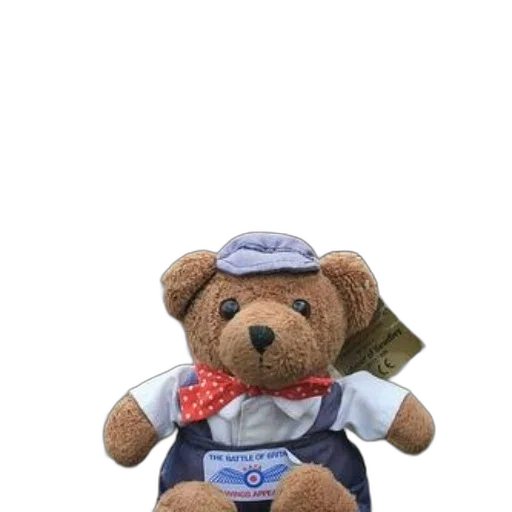 staff, hat, teddy, bear, dressed, train, conductor, sits transparent PNG cut-out