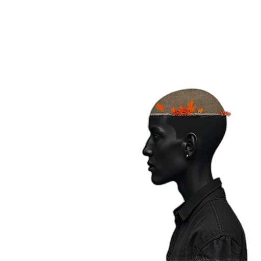 crown, hat, face, mask transparent PNG cut-out