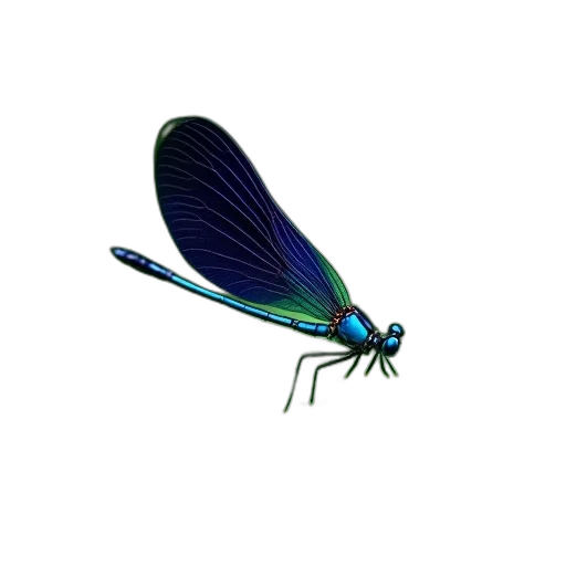 animal, creature, dragon, umbrella, 3d render, concept art, photorealistic, pixel art transparent PNG cut-out