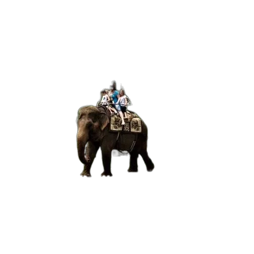 animal, hat, robot, creature, pixel art, concept art, two, elephants transparent PNG cut-out
