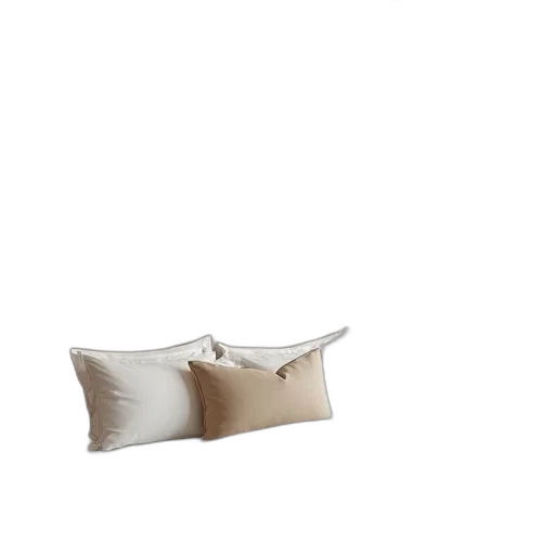 furniture, crown, shoes, hat, 3d render, photorealistic, earth tones, monochrome transparent PNG cut-out