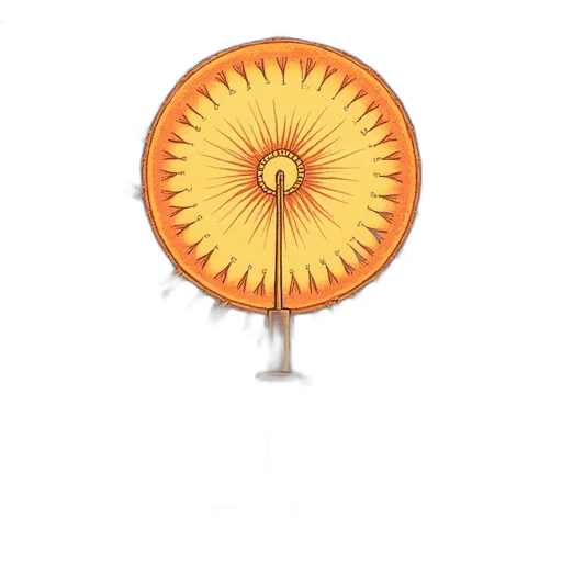 umbrella, staff, furniture, jewelry transparent PNG cut-out