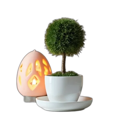 tree, furniture, crown, hat, 3d render, concept art, photorealistic, fantasy art transparent PNG cut-out