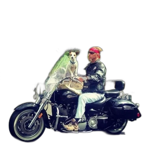 jacket, animal, creature, car, photorealistic, concept art, 3d render, pixel art transparent PNG cut-out