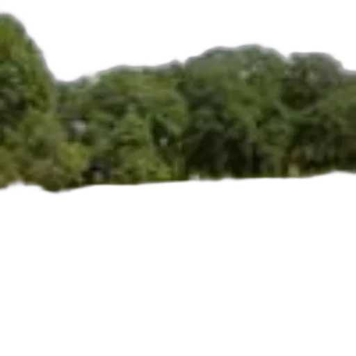 tree, dragon, staff, sword, 3d render, photorealistic, concept art, forest transparent PNG cut-out