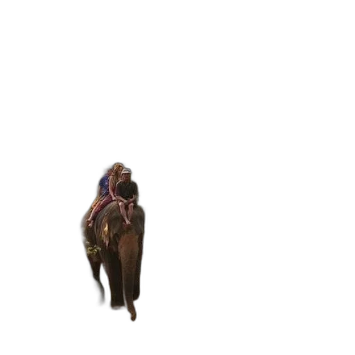 animal, creature, staff, hair transparent PNG cut-out