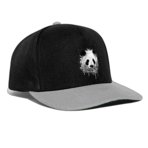 hat, crown, 3d render, black, gray, baseball, cap, features transparent PNG cut-out