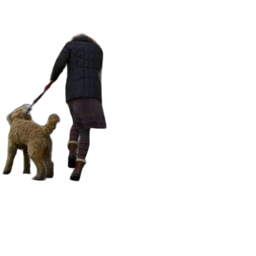 animal, staff, creature, jacket, concept art, 3d render, pixel art, forest transparent PNG cut-out