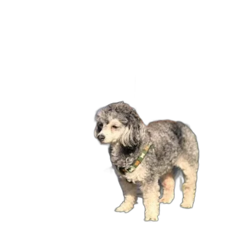 animal, creature, staff, weapon, pixel art, 3d render, photorealistic, concept art transparent PNG cut-out