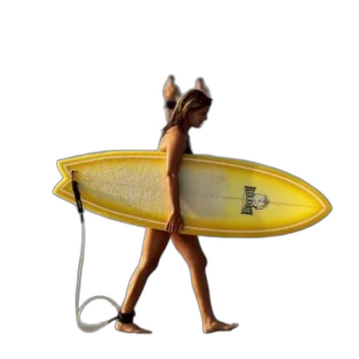 animal, creature, staff, weapon, 3d render, concept art, woman, black transparent PNG cut-out