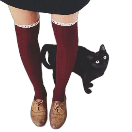 shoes, dress, animal, staff, dark, person, wearing, knee-high transparent PNG cut-out