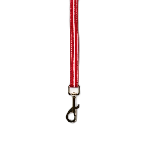 staff, jewelry, sword, umbrella, red, white, striped, dog transparent PNG cut-out