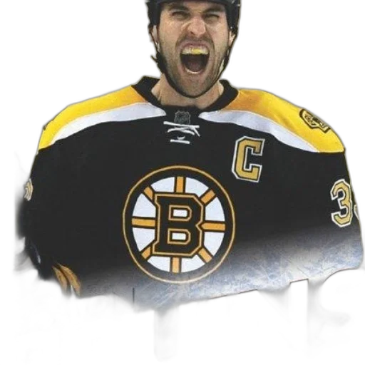 animal, face, creature, concept art, boston, bruins, hockey, player transparent PNG cut-out