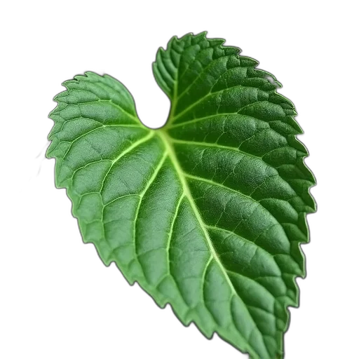 food, crown, tree, flower, photorealistic, 3d render, green, close-up transparent PNG cut-out
