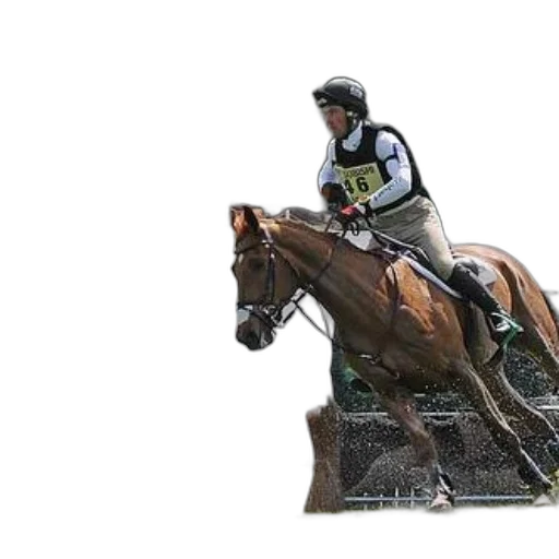 photorealistic, rider, horseback, jumps transparent PNG cut-out
