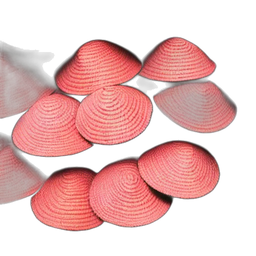 hat, food, umbrella, jewelry, 3d render, photorealistic, red, corals transparent PNG cut-out