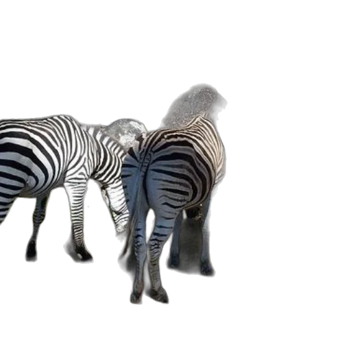 animal, creature, jewelry, furniture, 3d render, concept art, photorealistic, fantasy art transparent PNG cut-out