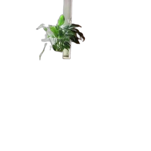staff, flower, bottle, dragon, 3d render, photorealistic, concept art, vaporwave transparent PNG cut-out