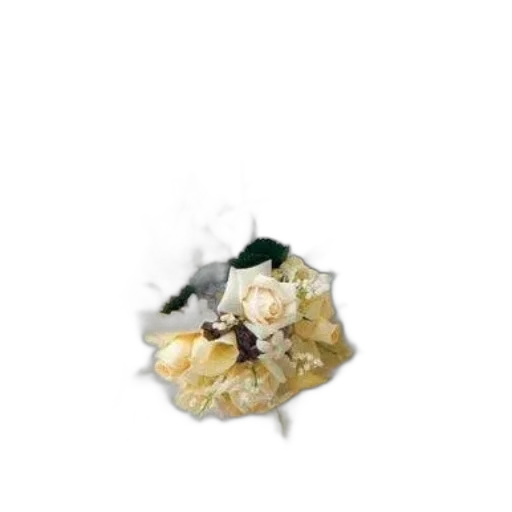 jewelry, flower, food, crown, 3d render, photorealistic, concept art, earth tones transparent PNG cut-out