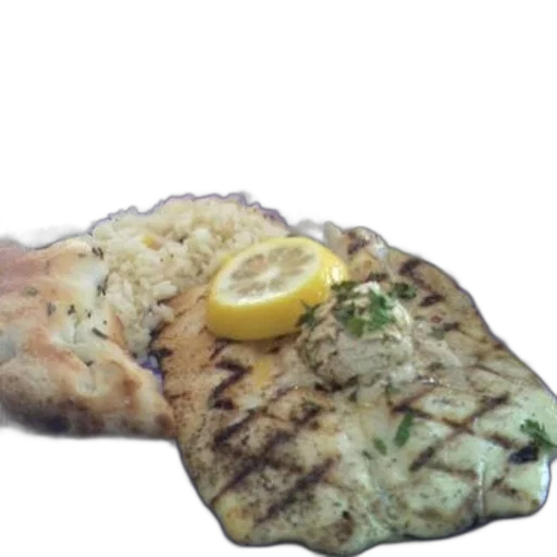 food, animal, jacket, photorealistic, 3d render, underwater, plate, grilled transparent PNG cut-out