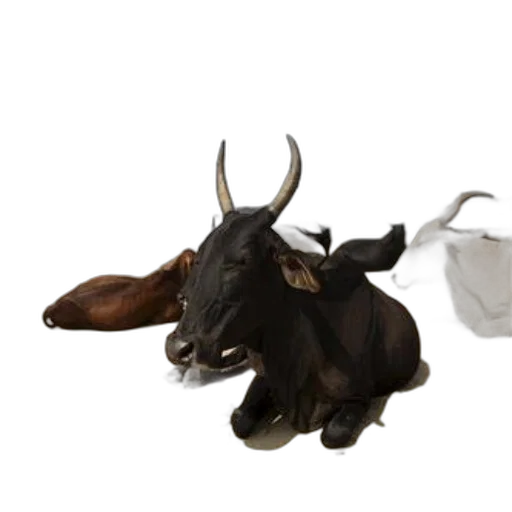 animal, jewelry, food, mask, 3d render, photorealistic, concept art, three transparent PNG cut-out