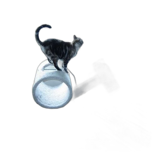 bottle, jewelry, animal, hat, 3d render, photorealistic, concept art, pixel art transparent PNG cut-out