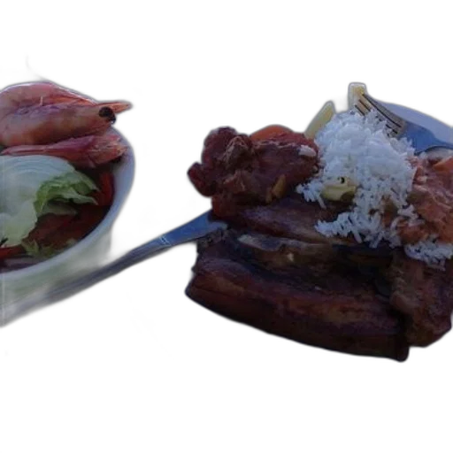 food, 3d render, photorealistic, plate, meat, rice, salad, accompanied transparent PNG cut-out