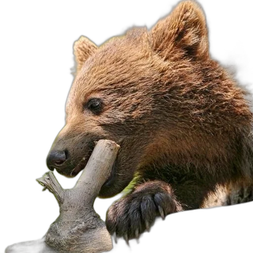 animal, creature, food, staff, photorealistic, concept art, 3d render, young transparent PNG cut-out