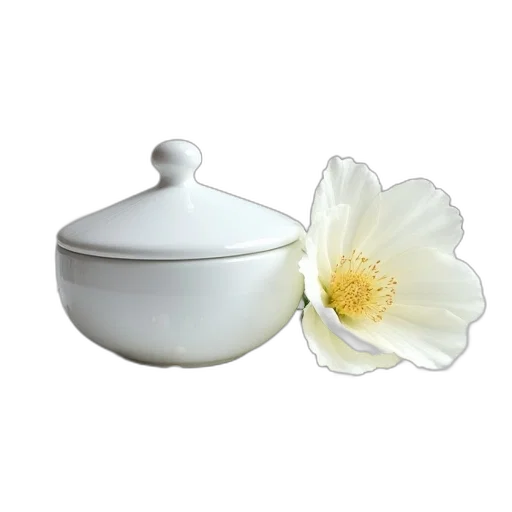 flower, food, jewelry, crown, photorealistic, 3d render, white, porcelain transparent PNG cut-out