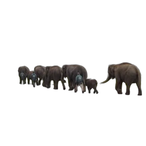 animal, staff, creature, jewelry, 3d render, concept art, pixel art, photorealistic transparent PNG cut-out