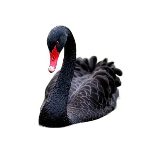 animal, creature, jewelry, mask, 3d render, photorealistic, concept art, pixel art transparent PNG cut-out