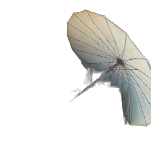 umbrella, flower, creature, dragon transparent PNG cut-out