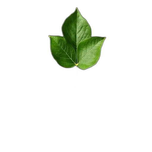 tree, food, flower, staff, photorealistic, 3d render, pixel art, concept art transparent PNG cut-out