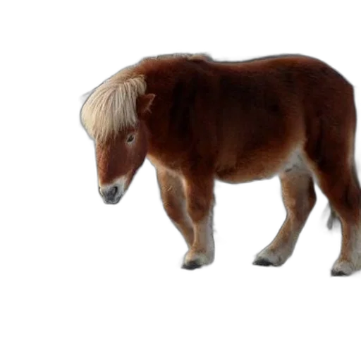 animal, creature, hair, staff, photorealistic, 3d render, concept art, brown transparent PNG cut-out