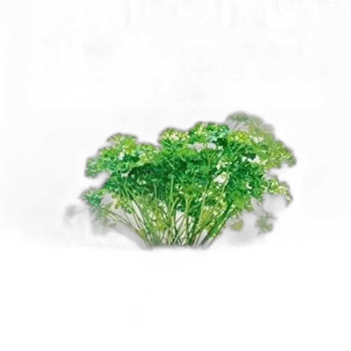 crown, jewelry, tree, flower, photorealistic, 3d render, concept art, pixel art transparent PNG cut-out