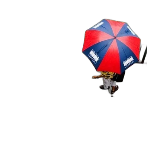 umbrella, jacket, dragon, hat, 3d render, concept art, photorealistic, pixel art transparent PNG cut-out
