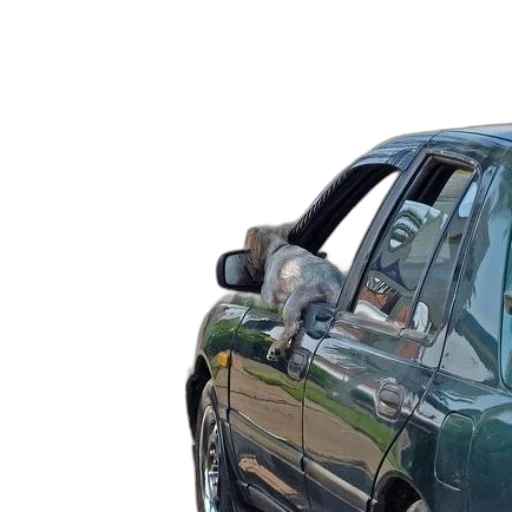 car, face, weapon, bottle transparent PNG cut-out