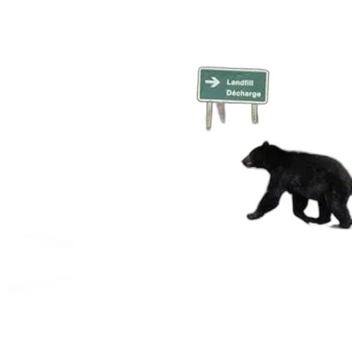 animal, furniture, staff, creature, concept art, 3d render, city street, forest transparent PNG cut-out