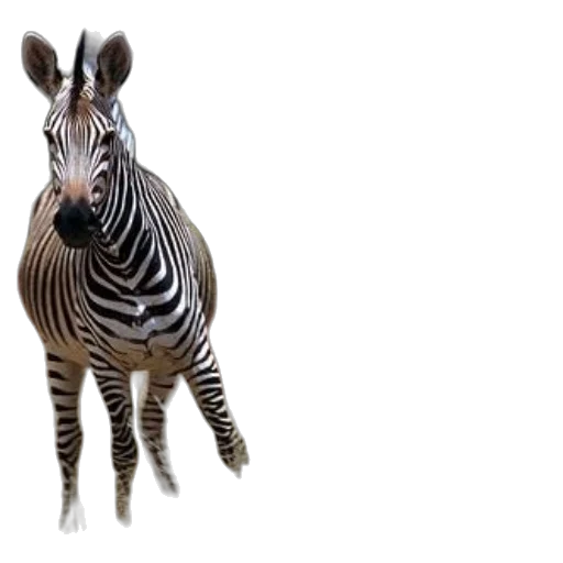 animal, creature, staff, weapon, 3d render, photorealistic, concept art, two transparent PNG cut-out