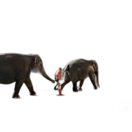 animal, staff, concept art, 3d render, forest, elephants, walking, down transparent PNG cut-out