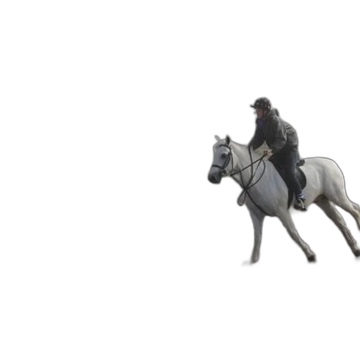 animal, 3d render, concept art, photorealistic transparent PNG cut-out