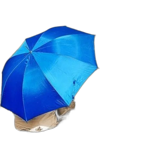 umbrella, hat, jacket, 3d render, photorealistic, rain, blue, person transparent PNG cut-out