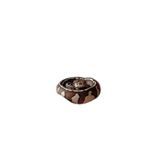 jewelry, crown, furniture, 3d render, earth tones, person, hand, holding transparent PNG cut-out