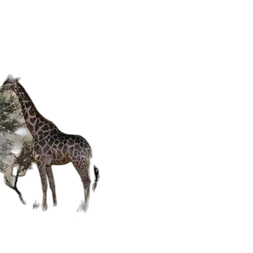 animal, creature, crown, hat, 3d render, concept art, photorealistic, pixel art transparent PNG cut-out
