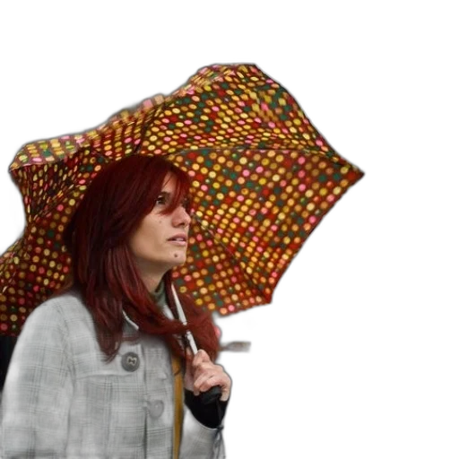 umbrella, jacket, hat, staff, photorealistic, 3d render, pixel art, concept art transparent PNG cut-out