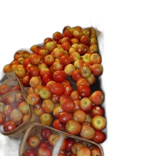 food, crown, photorealistic, 3d render, oil painting, earth tones, apples, grapes transparent PNG cut-out