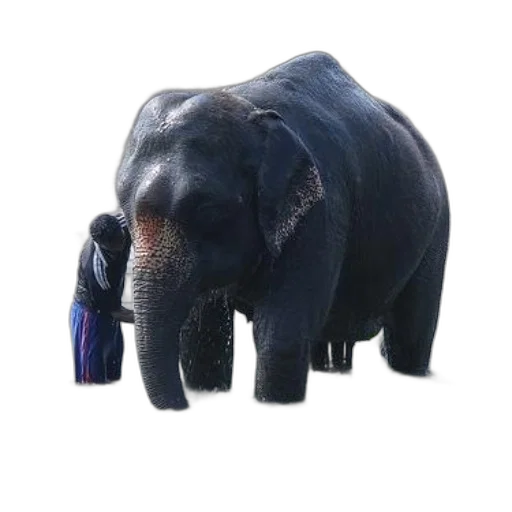 animal, creature, staff, jewelry, 3d render, photorealistic, concept art, person transparent PNG cut-out