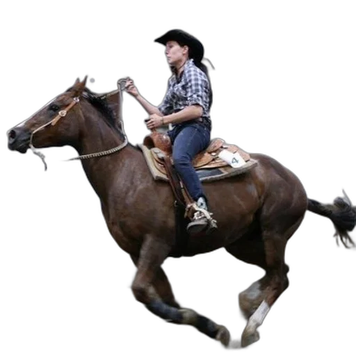animal, hat, staff, photorealistic, concept art, 3d render, woman, plaid transparent PNG cut-out